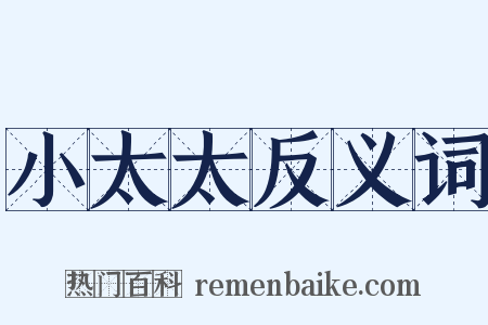 小太太反义词是什么意思的图片